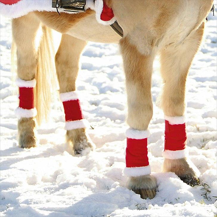 Jule/konfirmation´s ønsker :) - julegamacher billede 13