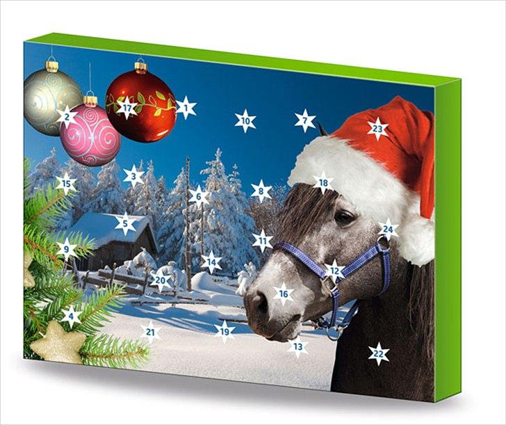 Jule/konfirmation´s ønsker :) - julekaldener til hest  billede 6