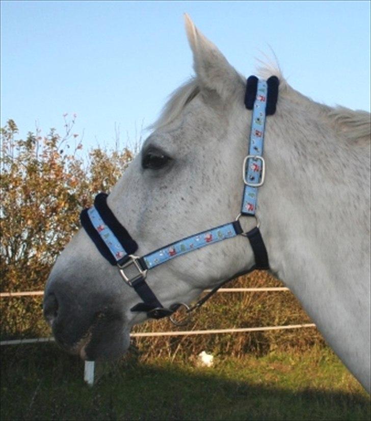 Jule/konfirmation´s ønsker :) - julegrime billede 10