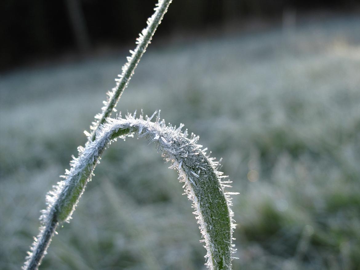 JF Photography billede 2