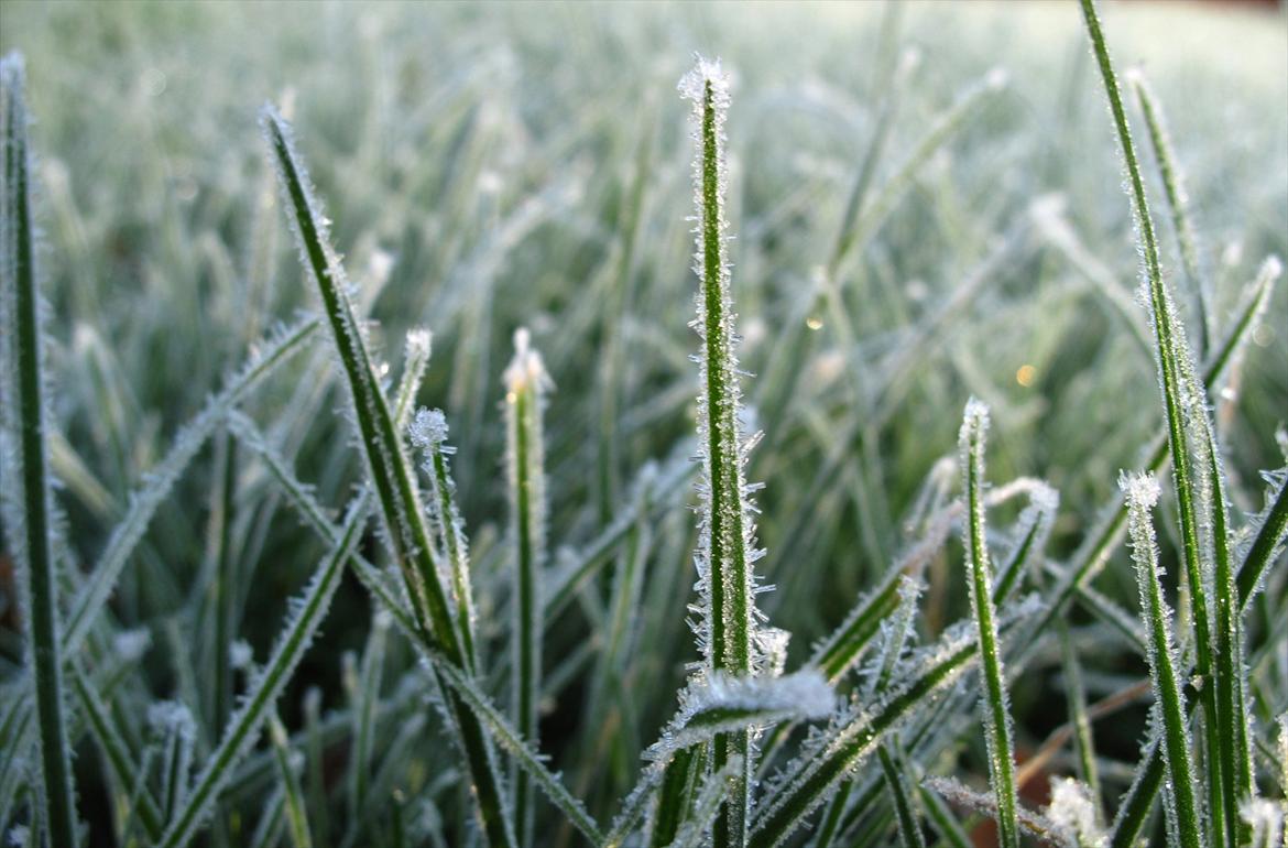 JF Photography billede 6