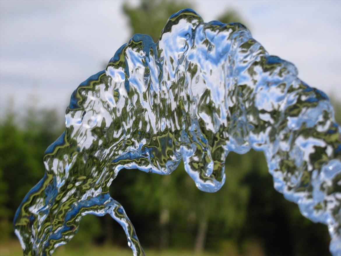 JF Photography billede 10