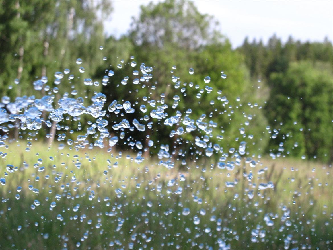 JF Photography billede 11