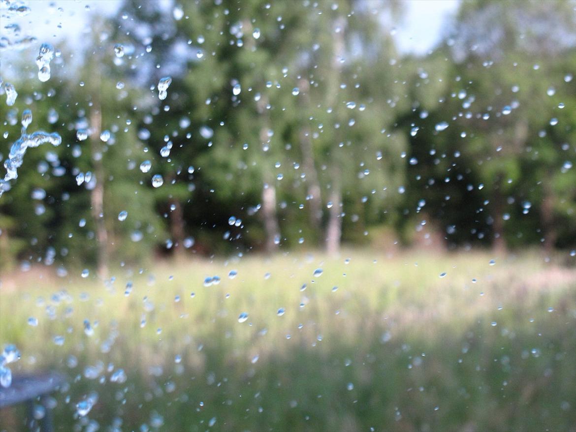 JF Photography billede 12