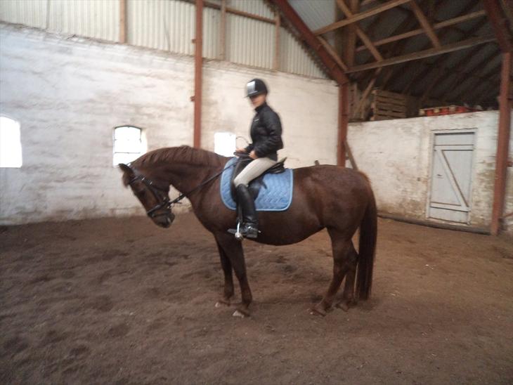 {{currentPhoto.altText}} billede {{currentPhoto.number}}