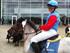 amigo til pony galop