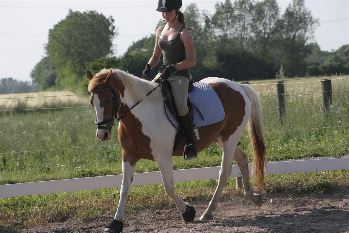 Nogle af de bedste og mest fjollede billeder af Beauty :P <3 - Et af de få dressurbilleder af min lille springpony :P <3 billede 17