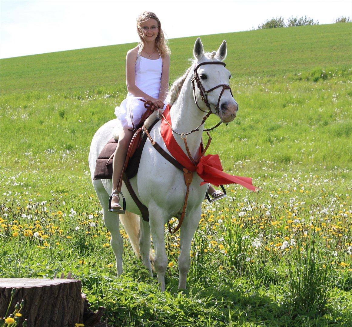 50 dage på hestegalleri :) - Dag 1: Et billed af din part/hest og 10 faktaer om dig og 10 faktaer din hest - Vores navne er Vicky og Signe. Vi er 16 og 14 år gamle. Vicky blev min hest den 15-5/11 på min konfirmation. Vi har startet LB i spring sammen. Vicky er gammel militarypony. Jeg er springrytter og vi har sammen sprunget 140 cm. Vicky er 146 cm og jeg er 160 cm høj. Vicky har en ret speciel farve udstyr (i spring). I sommeres var hun på sommergræs i min have. Hendes foldkammerat er Simon og han er en af de eneste heste hun kan lide. :)) <3   billede 1