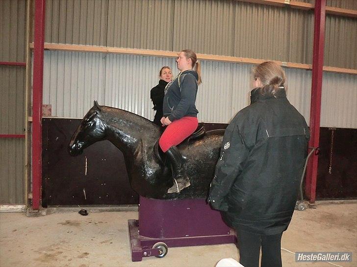 mekanisk hest billede 3