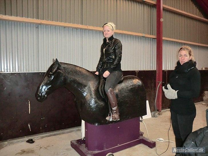 mekanisk hest billede 4