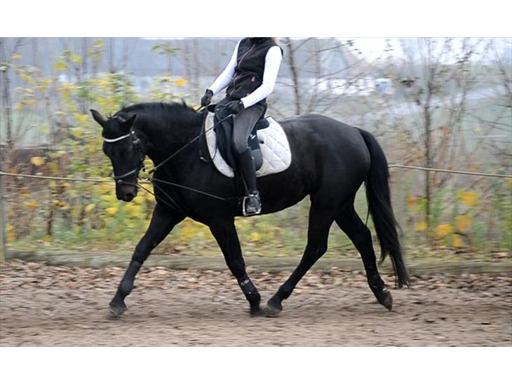 {{currentPhoto.altText}} billede {{currentPhoto.number}}