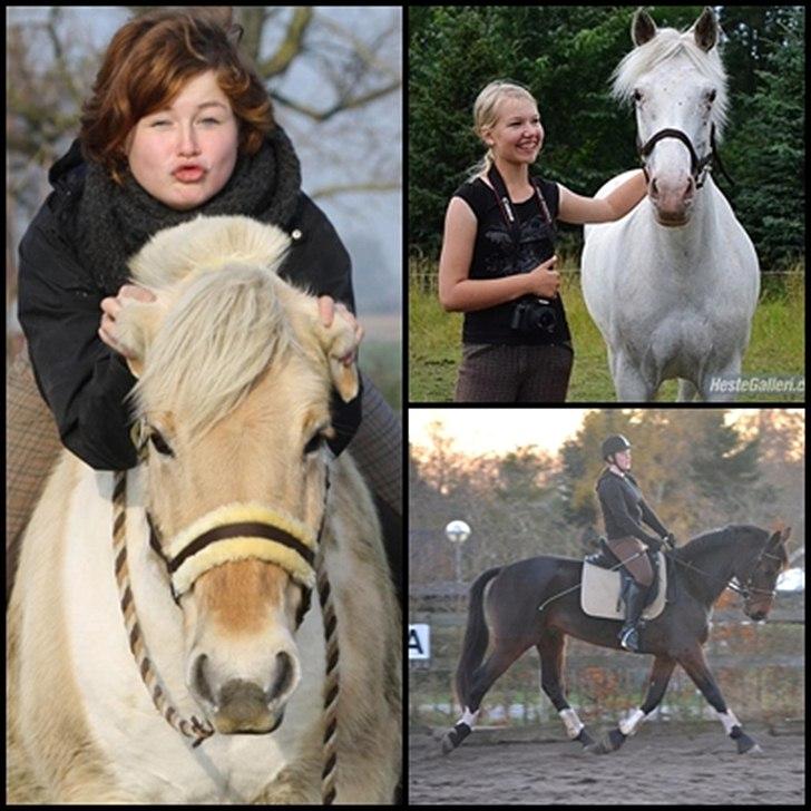 50 dage på hestegalleri :) - Dag 3: Et billede af en af dine bedste rideveninder - Dette er pigerne som jeg rider mest sammen med, og som jeg virkelig nyder at tilbringe min tid med. I er for dejlige! <3 billede 3