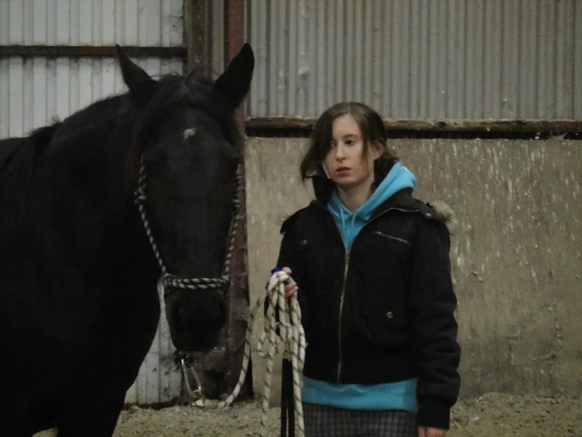 HMS / Klikkertræning med freja billede 2