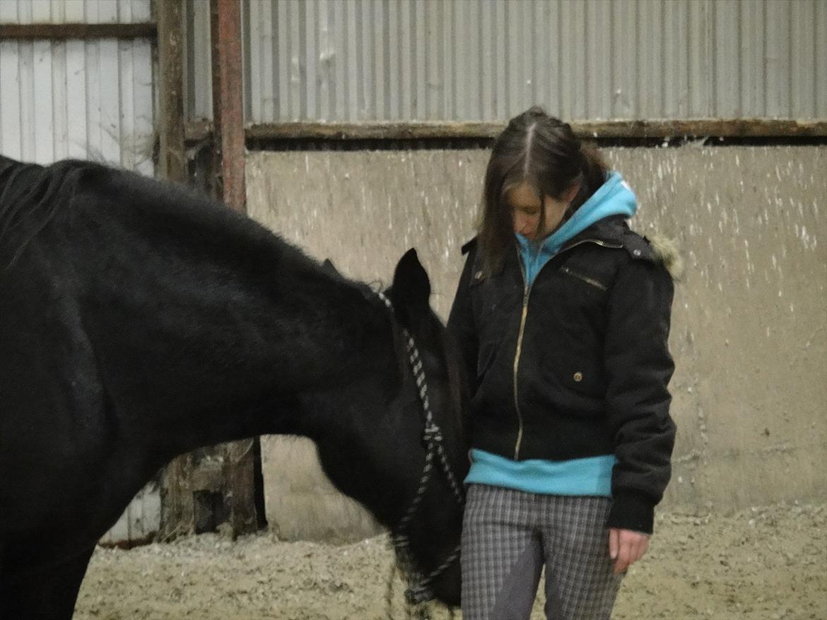 HMS / Klikkertræning med freja billede 3