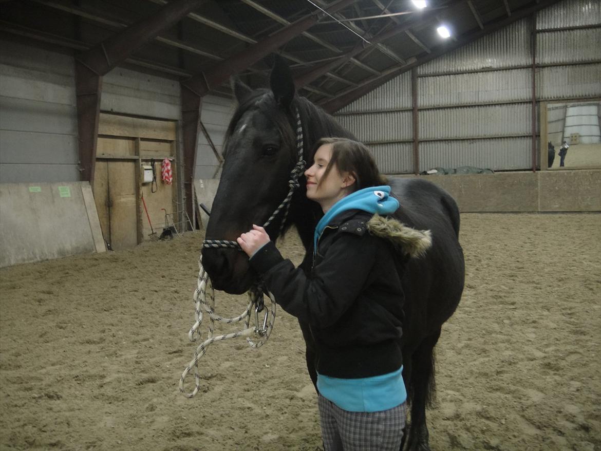 HMS / Klikkertræning med freja billede 4