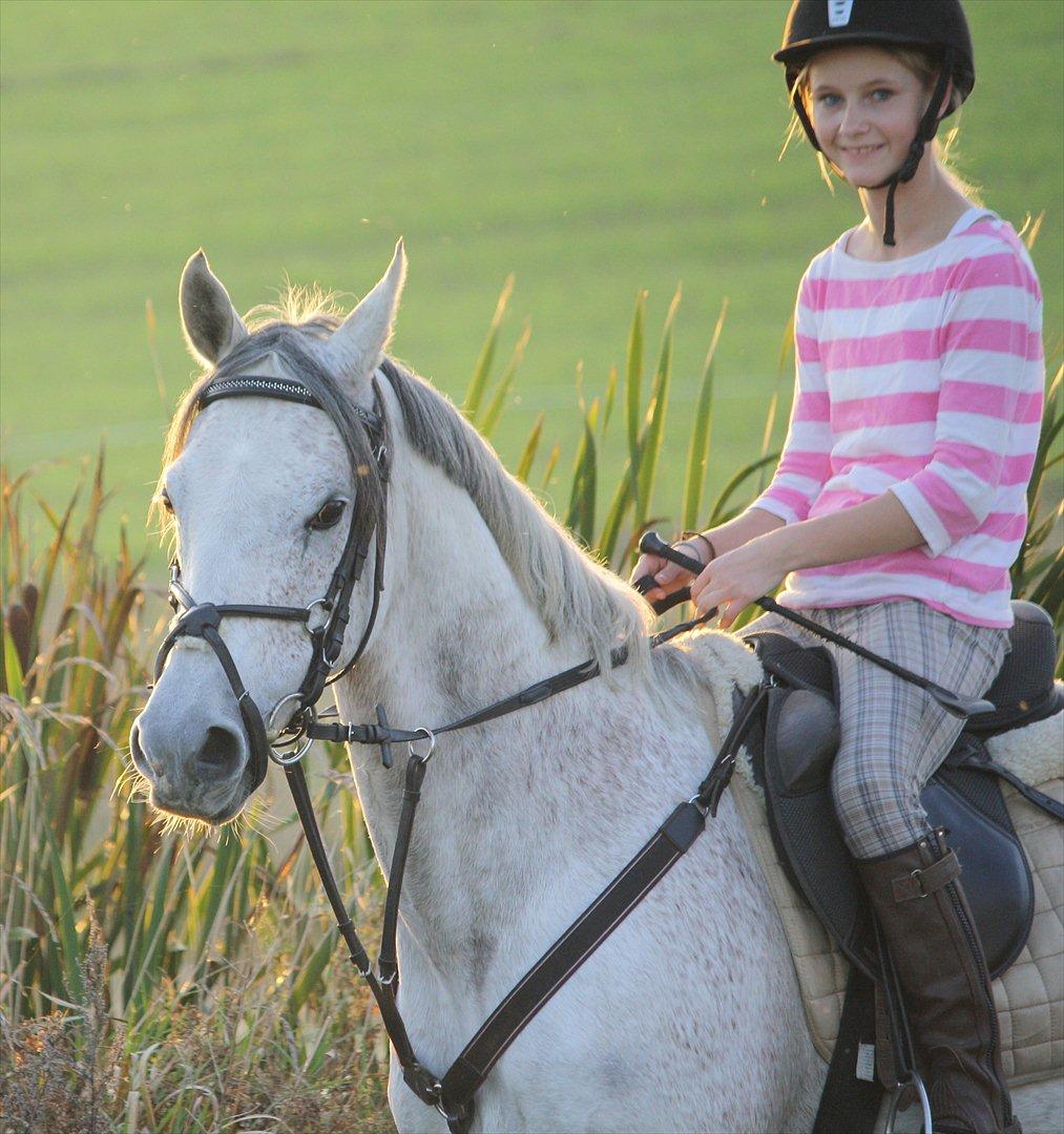 50 dage på hestegalleri :) - Dag 5: Et billede af noget du savner - Benthe .. Jeg savner dig!! :(( <33 billede 5