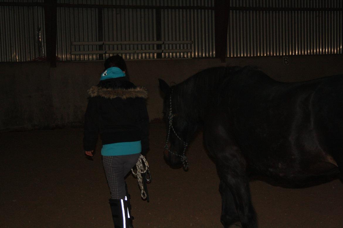 HMS / Klikkertræning med freja billede 6
