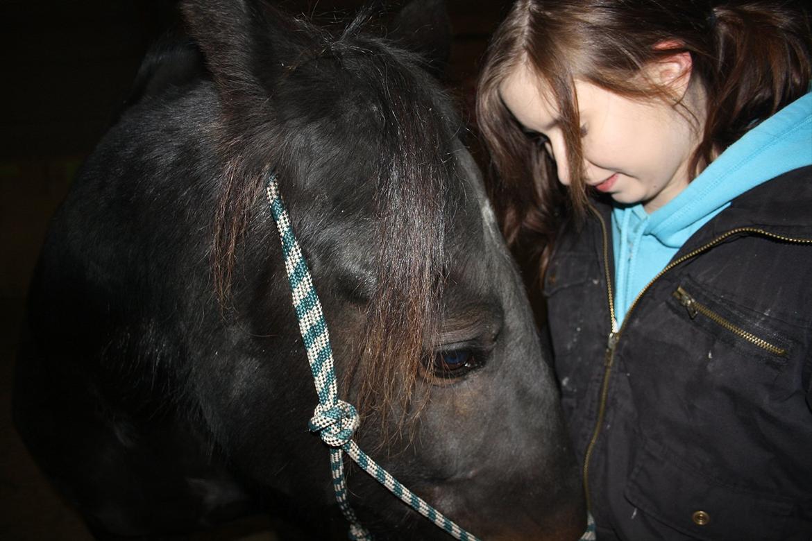 HMS / Klikkertræning med freja billede 13