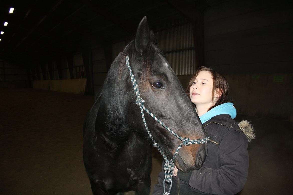 HMS / Klikkertræning med freja billede 14