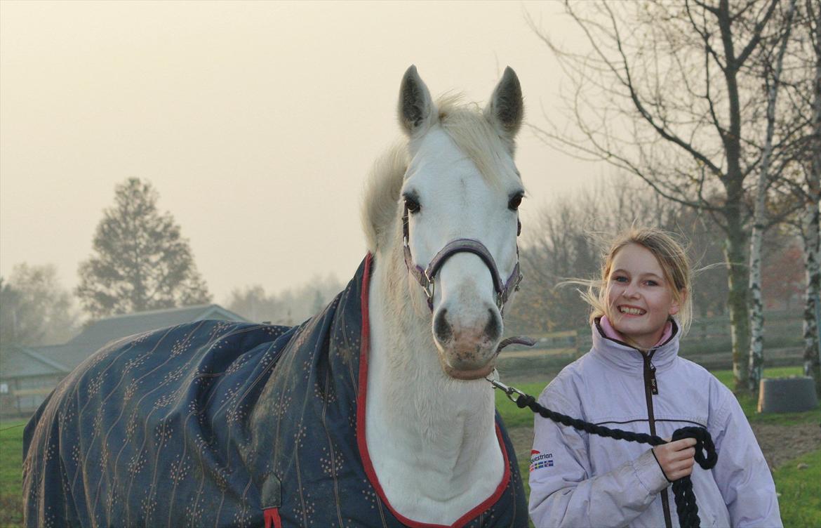 50 dage på hestegalleri :) - Dag 6: Et billede af en hest der betyder meget for dig - Vicky er hesten, der betyder mest for mig!! Jeg elsker dig :*<3 billede 6