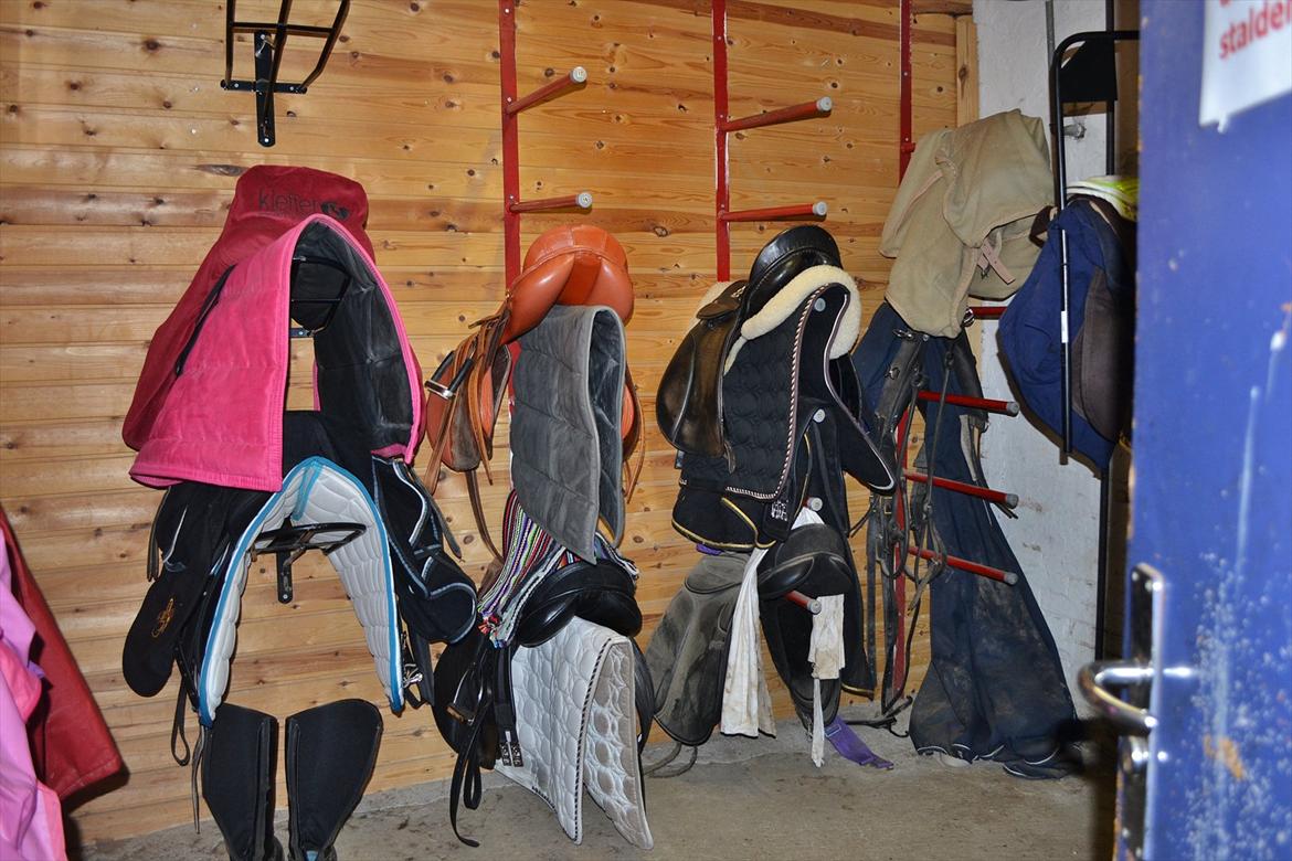 50 dage på hestegalleri :) - Dag 9: Et billede af det saddelrum der er der hvor din part/hest står opstaldet. - vores sadelrum.. Det er større og der hænger sadler bag ved døren :)  billede 9