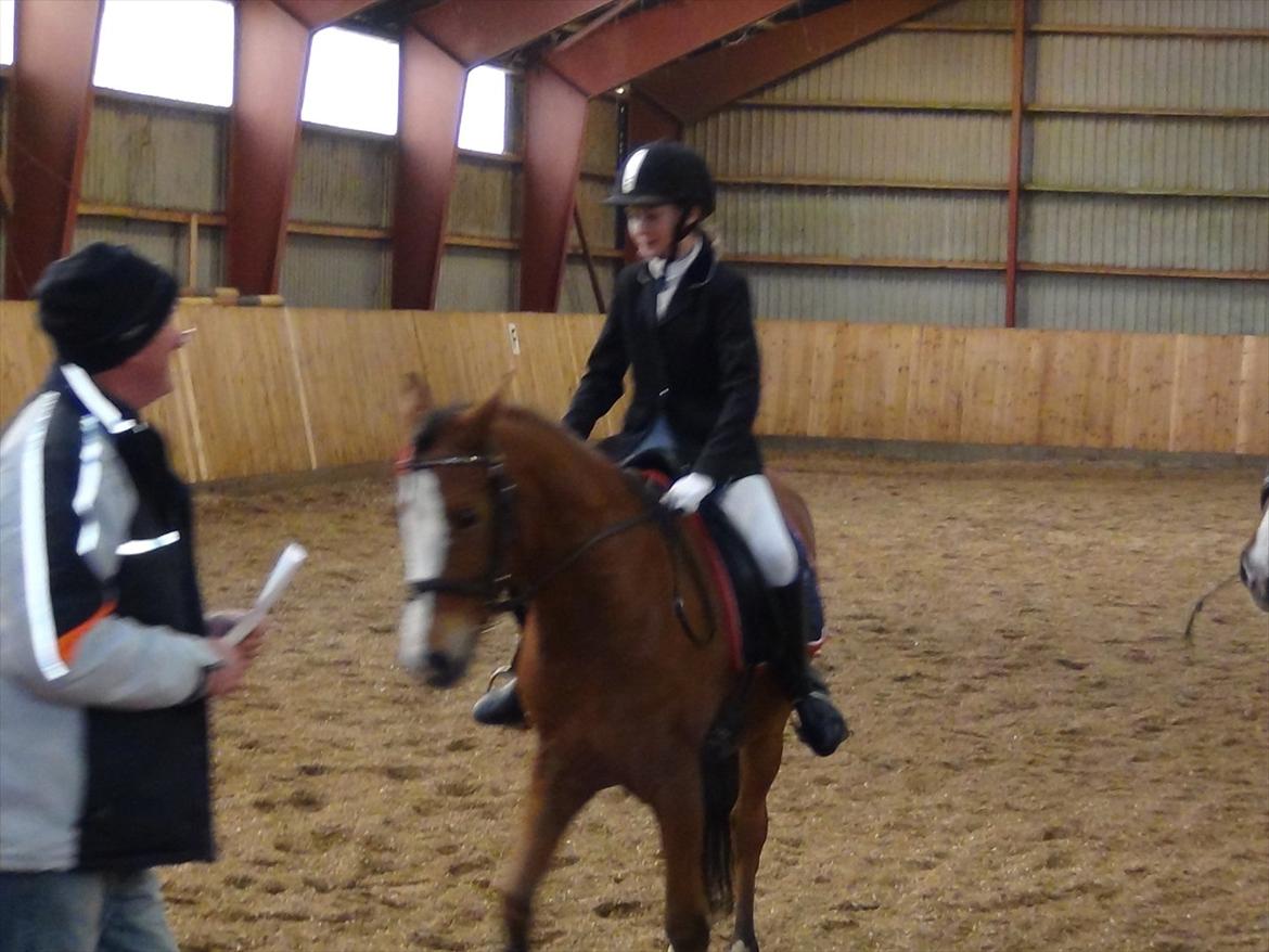 Stævne Kolding Ridecenter - 1. plads i LC3 :-) billede 3