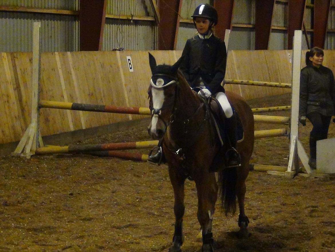 Stævne Kolding Ridecenter - 1. plads i MAXI spring :-) billede 4