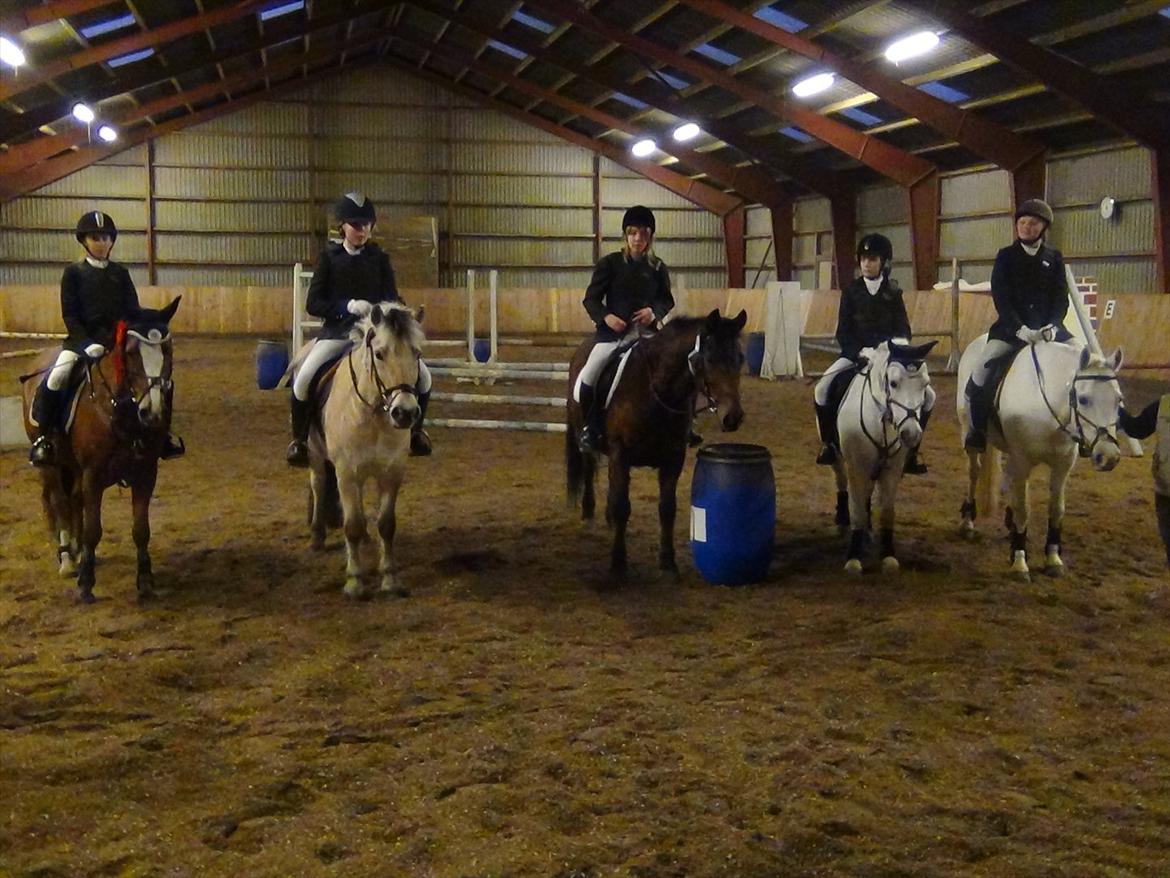 Stævne Kolding Ridecenter - Hele flokken i MAXI spring billede 5