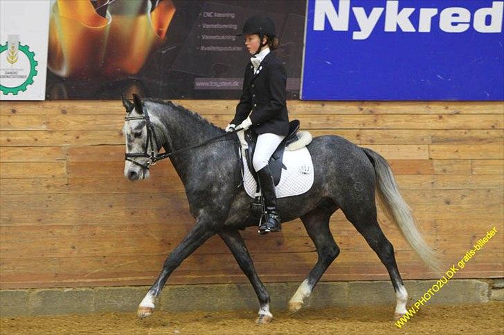 Kylling og Nuller i Ikast :) billede 1