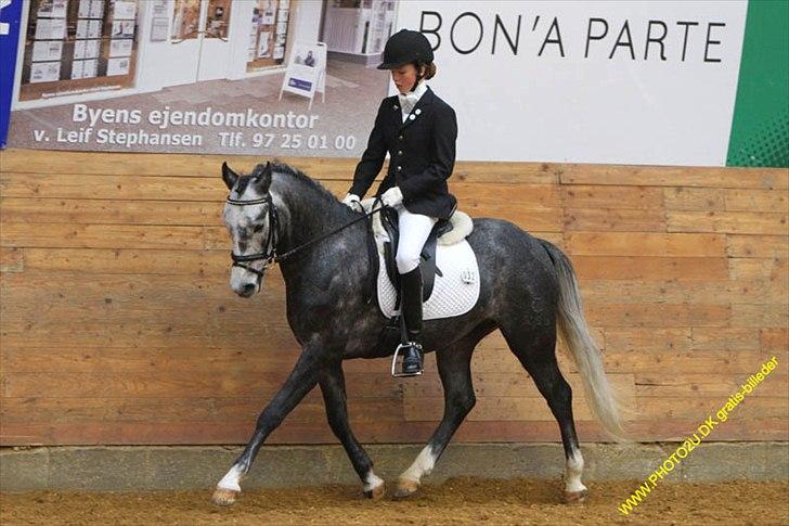 Kylling og Nuller i Ikast :) billede 2