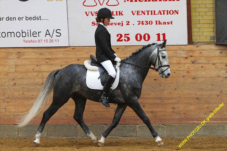 Kylling og Nuller i Ikast :) billede 3