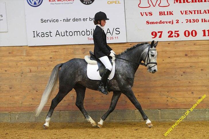 Kylling og Nuller i Ikast :) billede 4