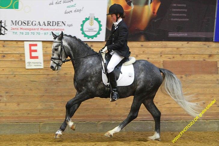 Kylling og Nuller i Ikast :) billede 5