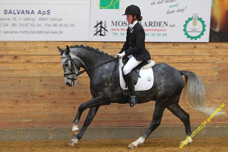 Kylling og Nuller i Ikast :) billede 6