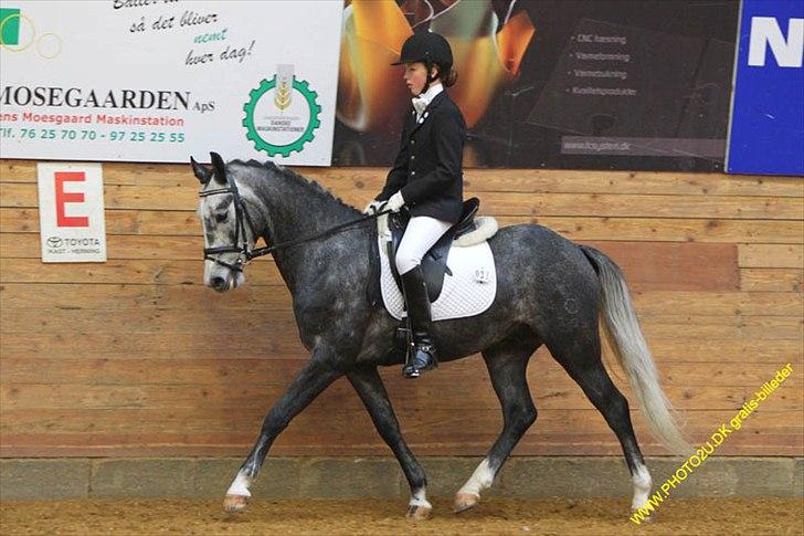 Kylling og Nuller i Ikast :) billede 7