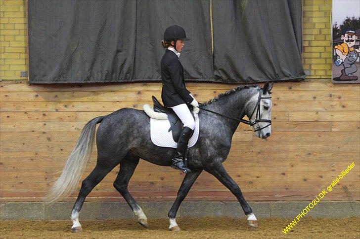 Kylling og Nuller i Ikast :) billede 8