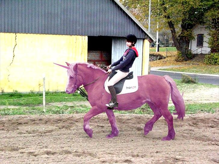 Billeder, tegninger osv. billede 31