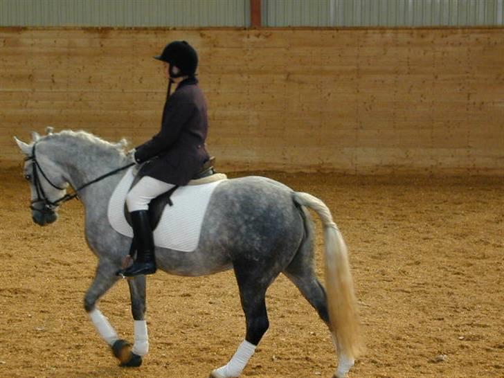 Sille-pigen .. - Hehe. Ked af hvis billederne er lidt skidte i kvaliteten ;) billede 1