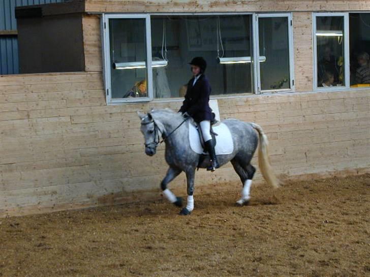 Sille-pigen .. - Hehe. Ked af hvis billederne er lidt skidte i kvaliteten ;) billede 2