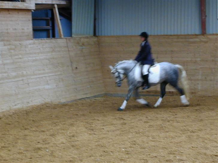 Sille-pigen .. - Hehe. Ked af hvis billederne er lidt skidte i kvaliteten ;) billede 4