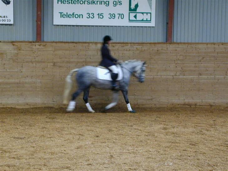 Sille-pigen .. - Hehe. Ked af hvis billederne er lidt skidte i kvaliteten ;) billede 5