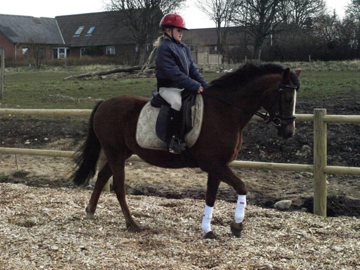 Her er lige et par billeder fra en dejlig forårsdag - Her er maja og May lady. billede 1