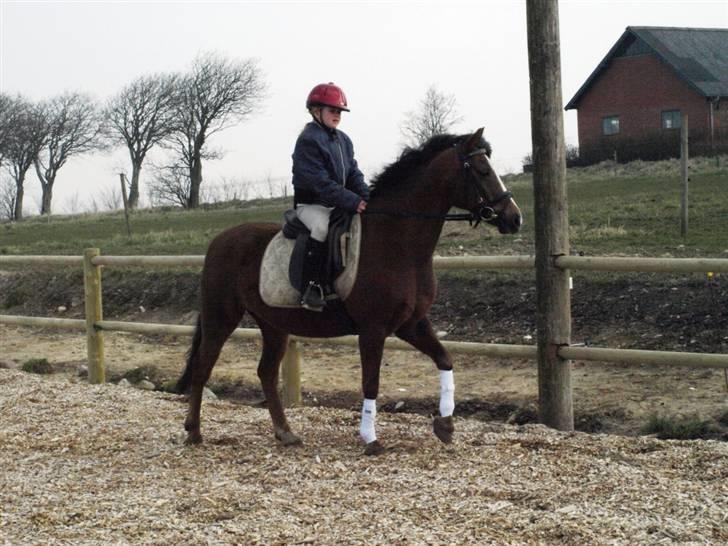 Her er lige et par billeder fra en dejlig forårsdag billede 2