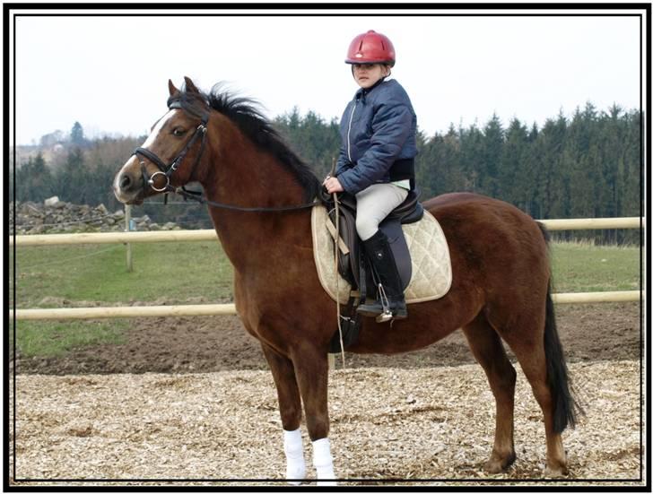 Her er lige et par billeder fra en dejlig forårsdag - Sikke et flot par. billede 3