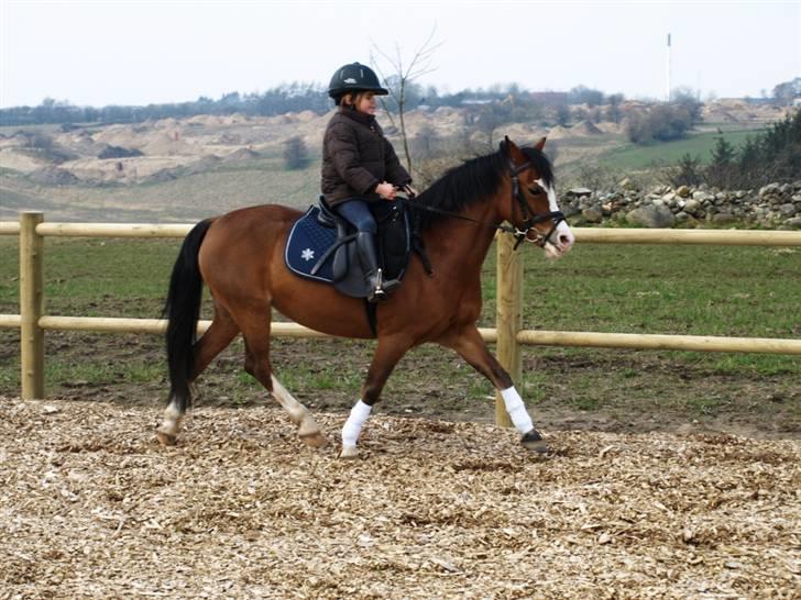 Her er lige et par billeder fra en dejlig forårsdag billede 4