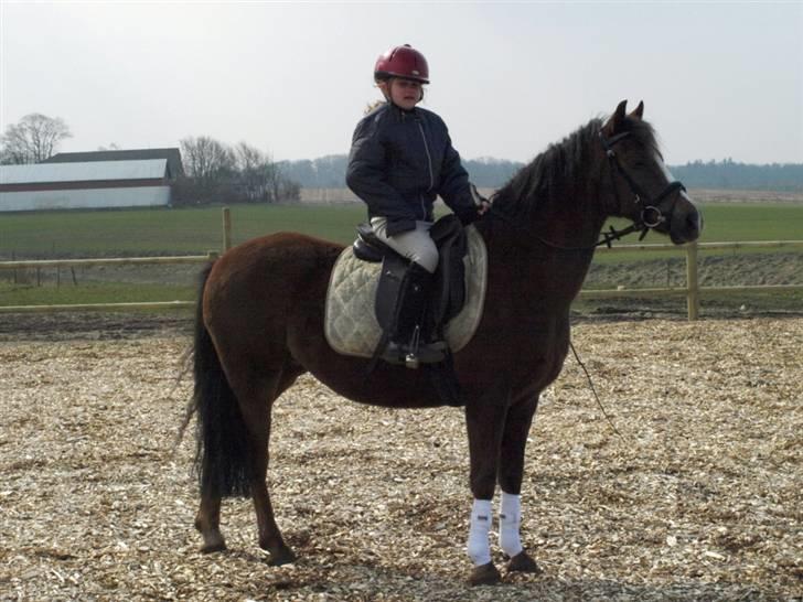 Her er lige et par billeder fra en dejlig forårsdag billede 5