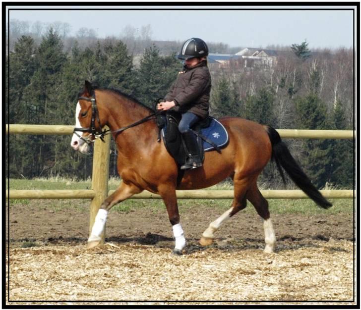 Her er lige et par billeder fra en dejlig forårsdag - Her er Maria og Hip Hop. De er bare så gode. Maria er 5 år. billede 6