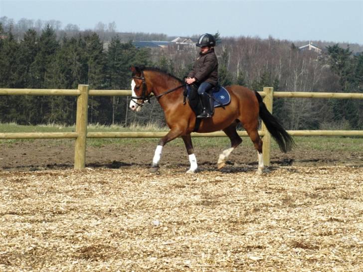 Her er lige et par billeder fra en dejlig forårsdag billede 7