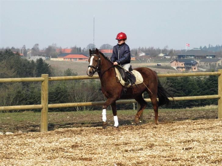 Her er lige et par billeder fra en dejlig forårsdag billede 8