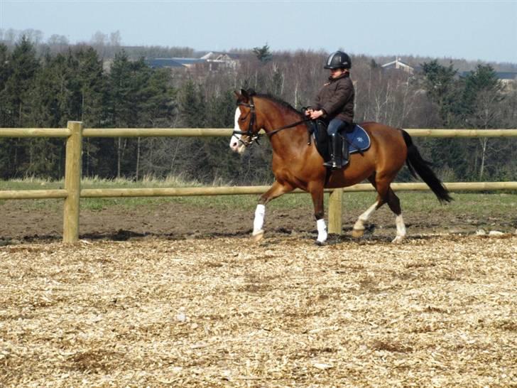 Her er lige et par billeder fra en dejlig forårsdag billede 9